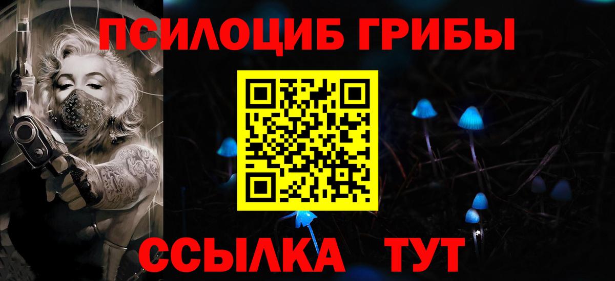 где купить наркоту  Галлюциногенные грибы прущие грибы  Вход с VPN  Чайковский 